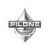 Pildne